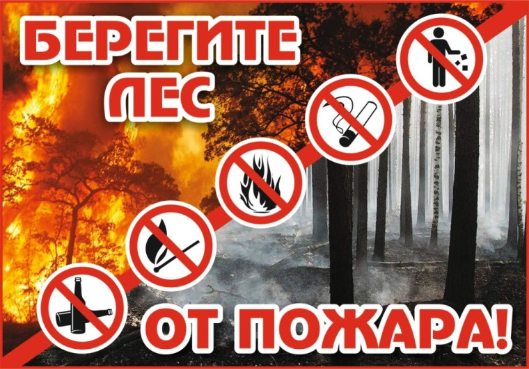 Профилактики возникновения лесных пожаров.